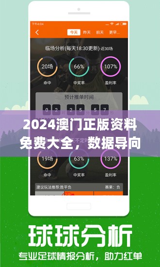 2024年新澳门王中王免费,高效性策略设计_影像版81.476