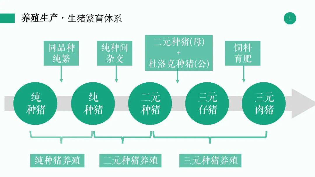 新澳2023年精准资料大全,决策信息解析说明_kit25.537