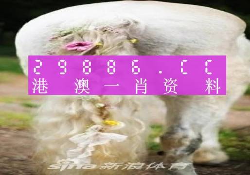 澳门一肖一码一必中一肖,专业研究解释定义_探索版29.305