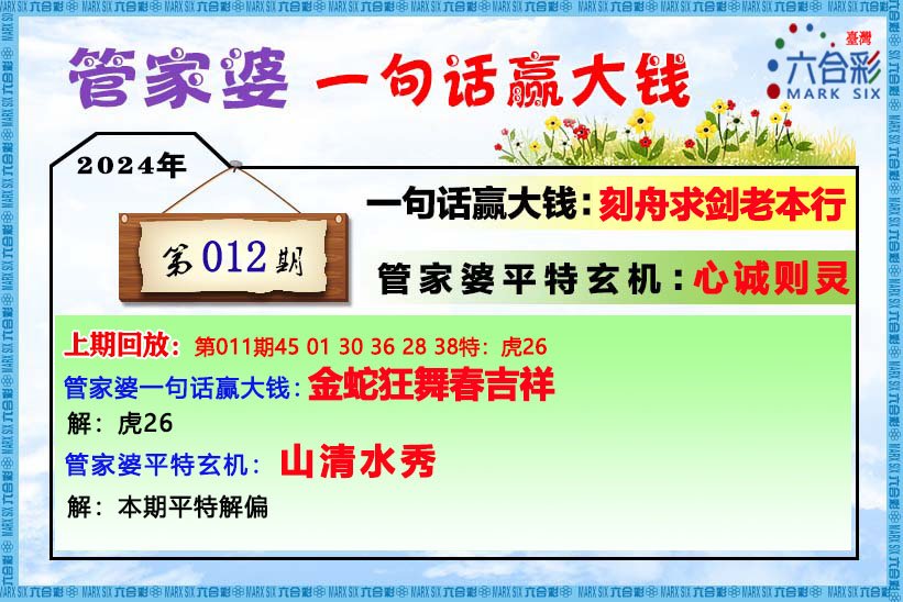 2004管家婆一肖一码澳门码,持续设计解析方案_钱包版46.776