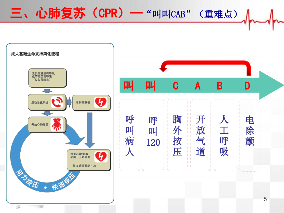 最新心肺复苏说课内容详解