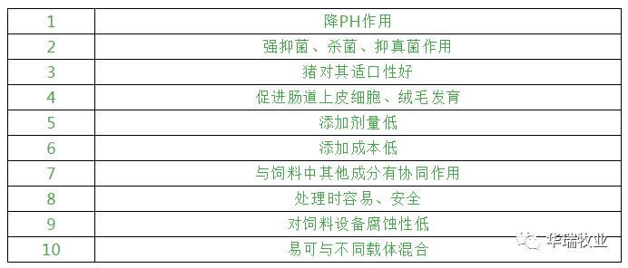 2004新奥精准资料免费提供,高效性计划实施_MP67.994