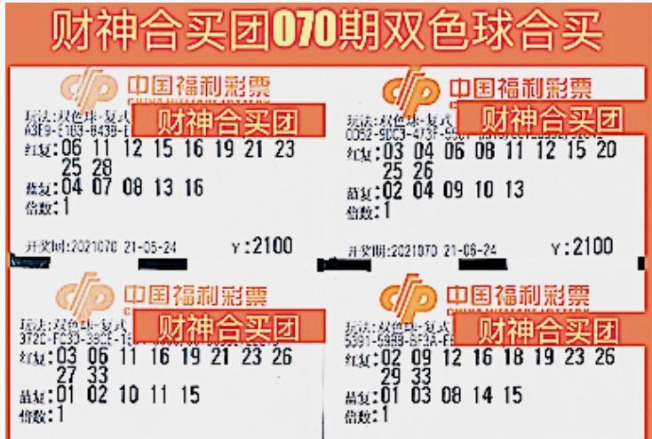 管家婆一票一码100正确今天,现状解答解释定义_P版65.736