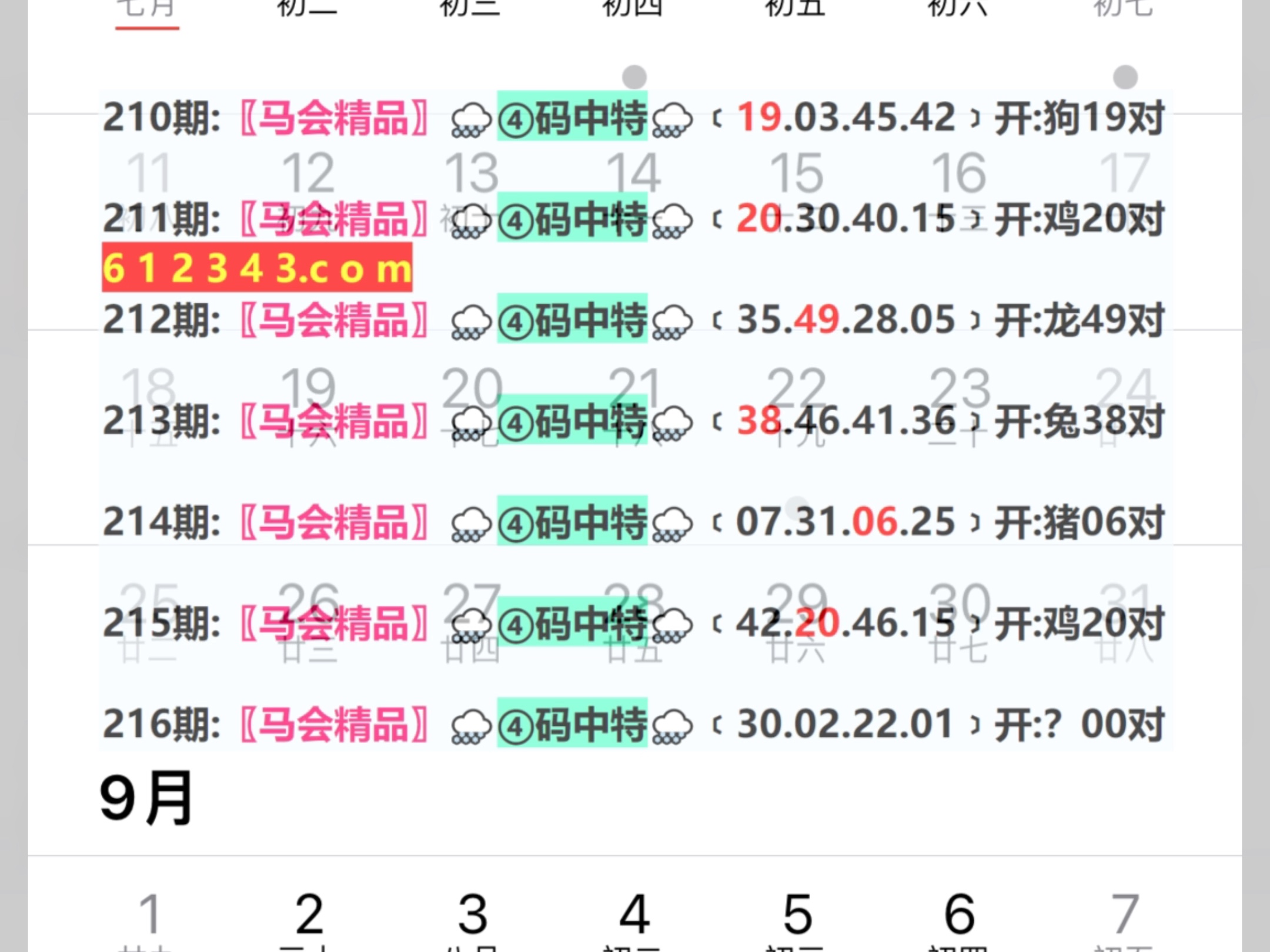 2024今晚新澳门开奖结果,稳定执行计划_苹果版23.216