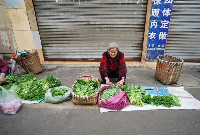 花甲之约，探索美好时光，共度老年精彩