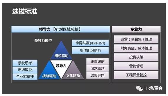 新澳资料免费,全面设计执行策略_D版16.358