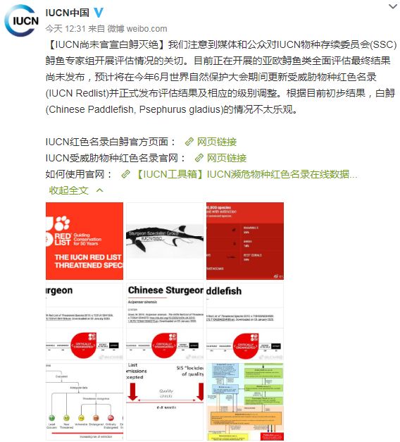 2024新澳精准资料免费提供下载,科学解析评估_set41.175