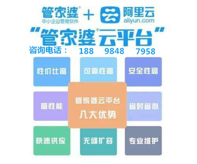 7777788888管家婆凤凰,整体规划执行讲解_HarmonyOS78.166