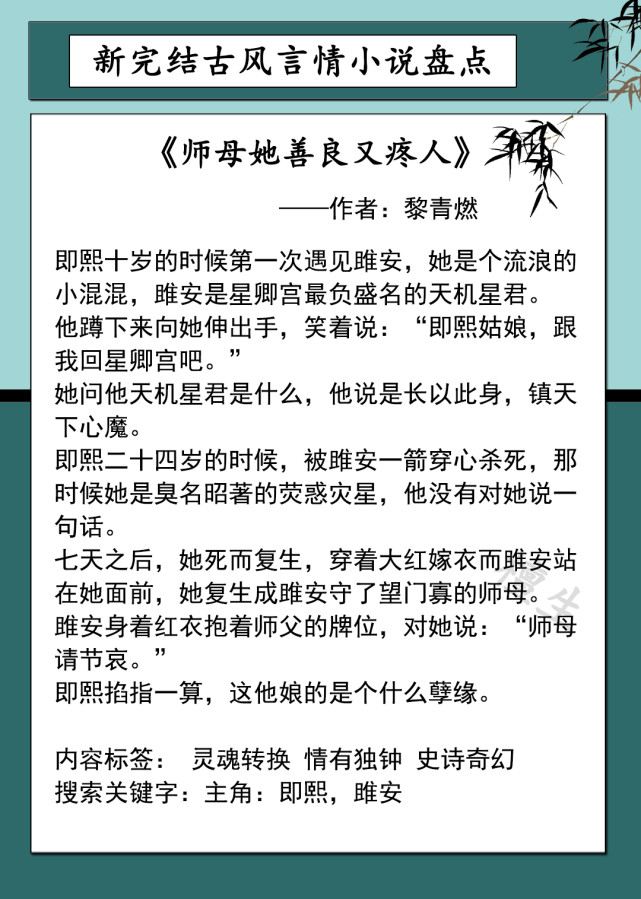 阿袁小说师母深度解析