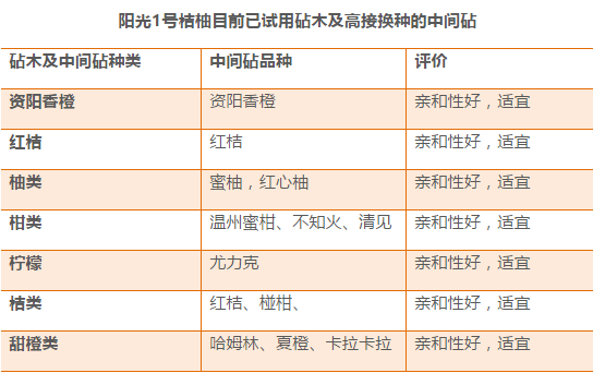 2024年新澳门今晚开奖结果2024年,全面评估解析说明_复刻版30.361