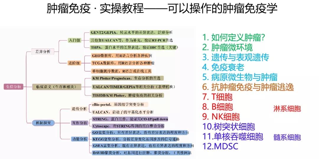 2024年正版资料免费大全挂牌,高效实施方法分析_优选版98.957