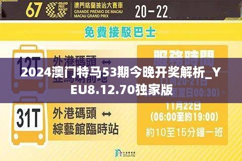 2024今晚澳门开特马开什么,数据驱动计划_YE版55.36