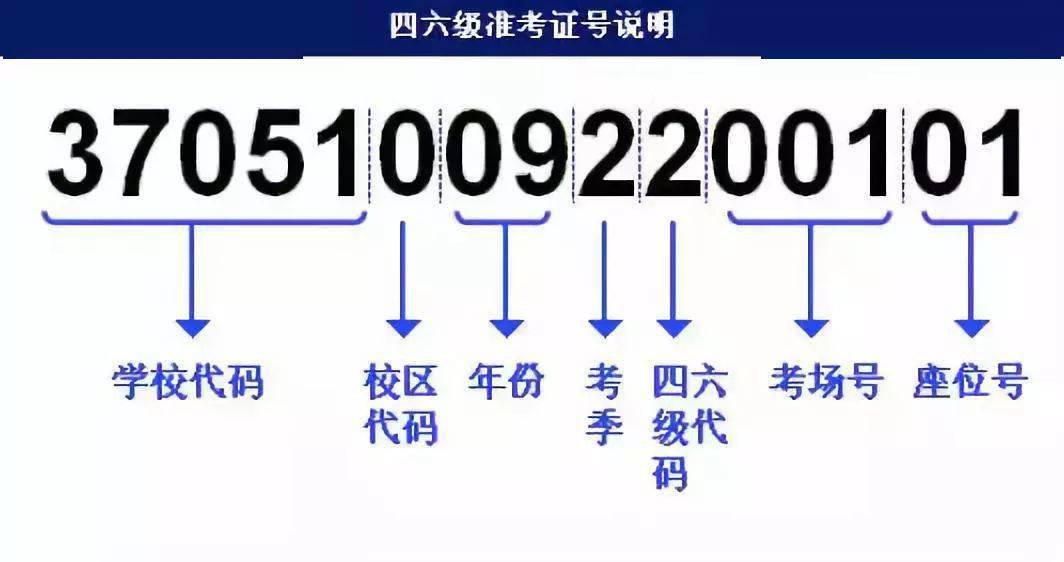 4949免费资料大全资中奖,持久性计划实施_复刻款62.517