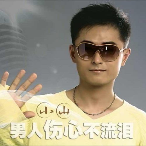 心痛2011，歌曲背后的故事与情感深度解析